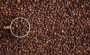 Najlepsza kawa Woseba do ciasta kakaowego z kokosem