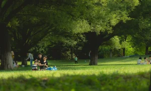 Piknik firmowy w Poznaniu — skuteczna integracja zespołu