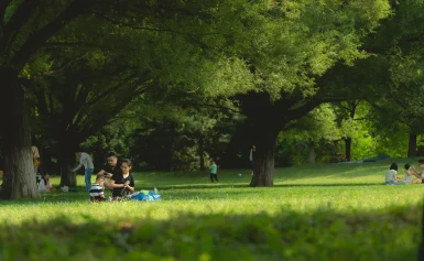 Piknik firmowy w Poznaniu — skuteczna integracja zespołu